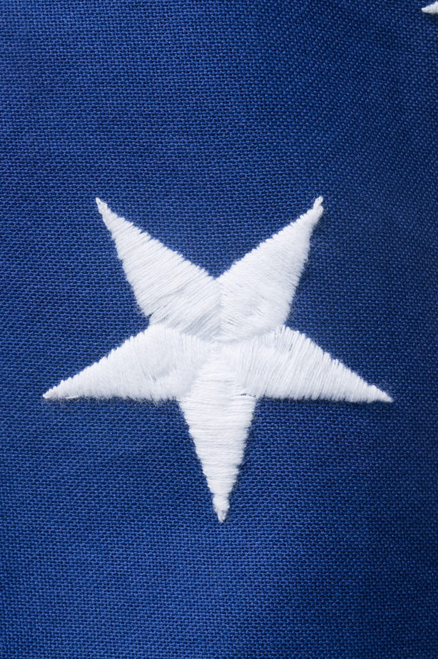 Star of USA Flag | Arlington Media, Inc.