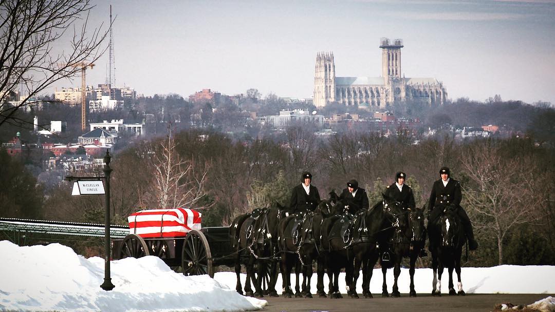 The caisson team waiting to move in to position at McClellan Circle. 
#Arlington⠀
#ArlingtonMedia⠀
#ArlingtonCemetery⠀
#ArlingtonNationalCemetery⠀