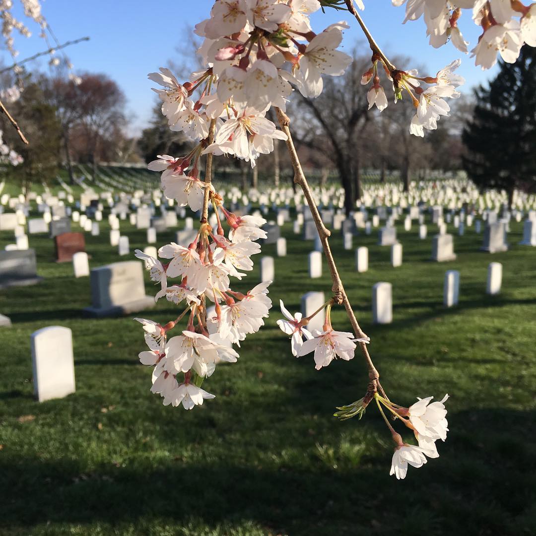 Getting ready for the first shoot of the week. 
#Arlington⠀
#ArlingtonMedia⠀
#ArlingtonCemetery⠀
#ArlingtonNationalCemetery⠀