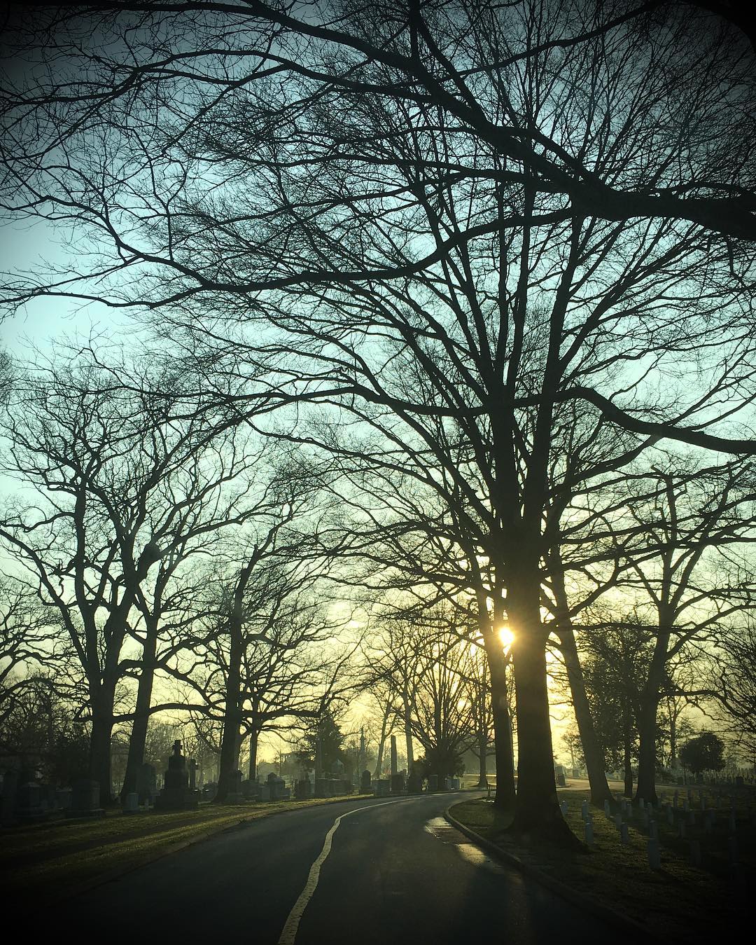 Traffic this morning on White Line road. 
#Arlington⠀
#ArlingtonMedia⠀
#ArlingtonCemetery⠀
#ArlingtonNationalCemetery⠀