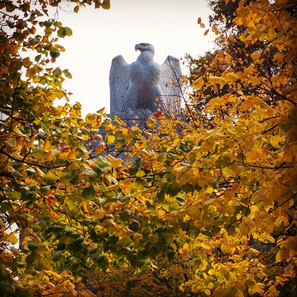 Gates of Arlington 
#Arlington⠀
#ArlingtonMedia⠀
#ArlingtonCemetery⠀
#ArlingtonNationalCemetery⠀