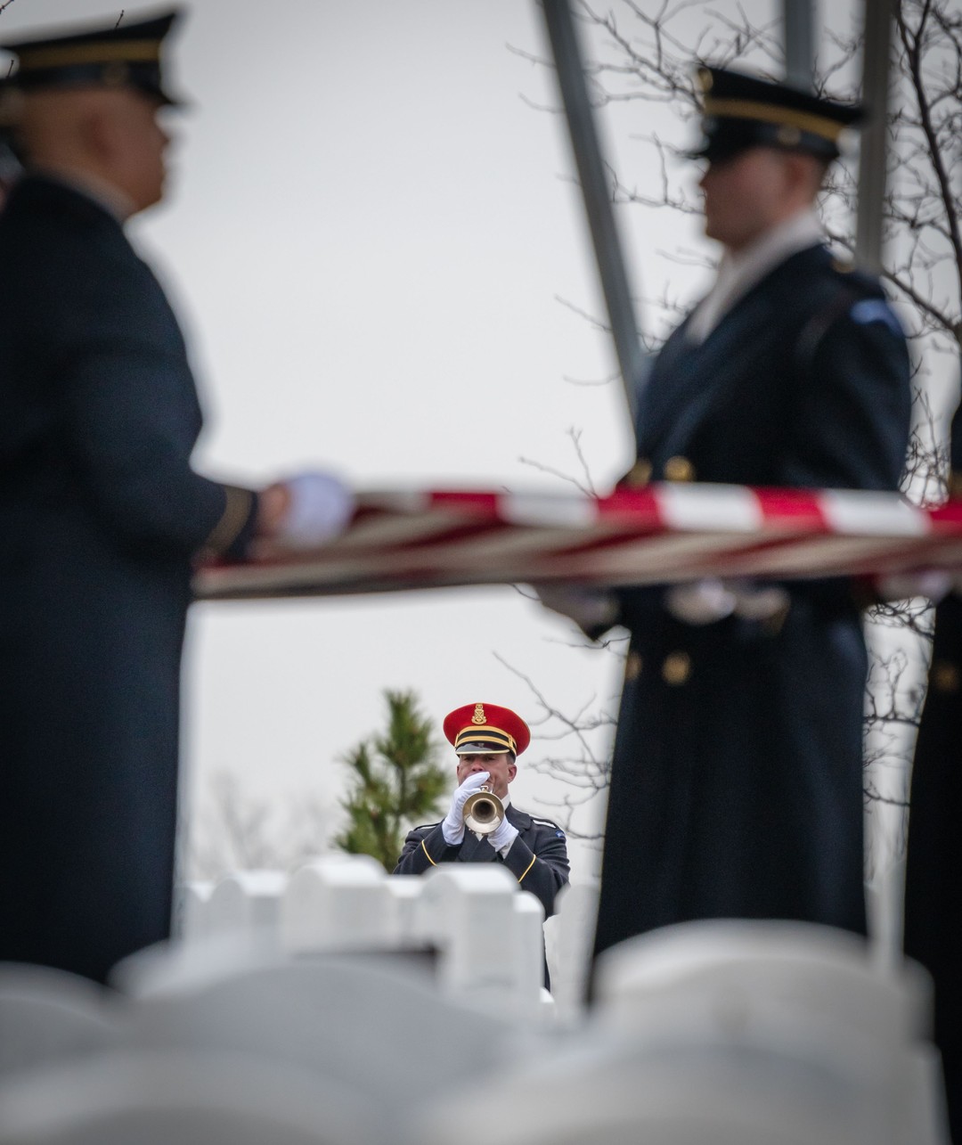 A little color on a cold rainy afternoon in section 71 at @arlingtonnatl 
#Arlington⠀
#ArlingtonMedia⠀
#ArlingtonCemetery⠀
#ArlingtonNationalCemetery⠀