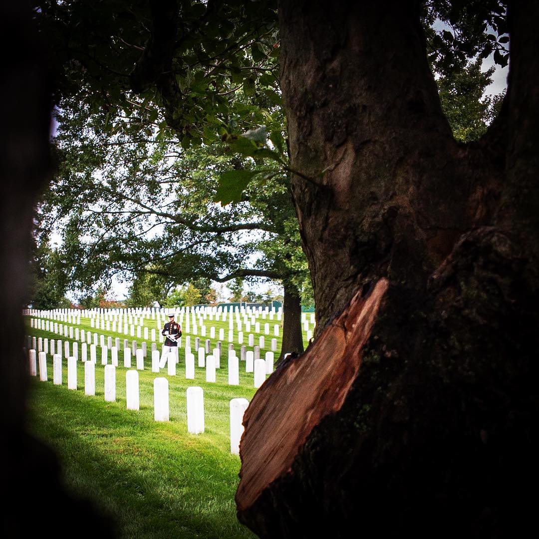 After the storm, before the service 
#Arlington⠀
#ArlingtonMedia⠀
#ArlingtonCemetery⠀
#ArlingtonNationalCemetery⠀