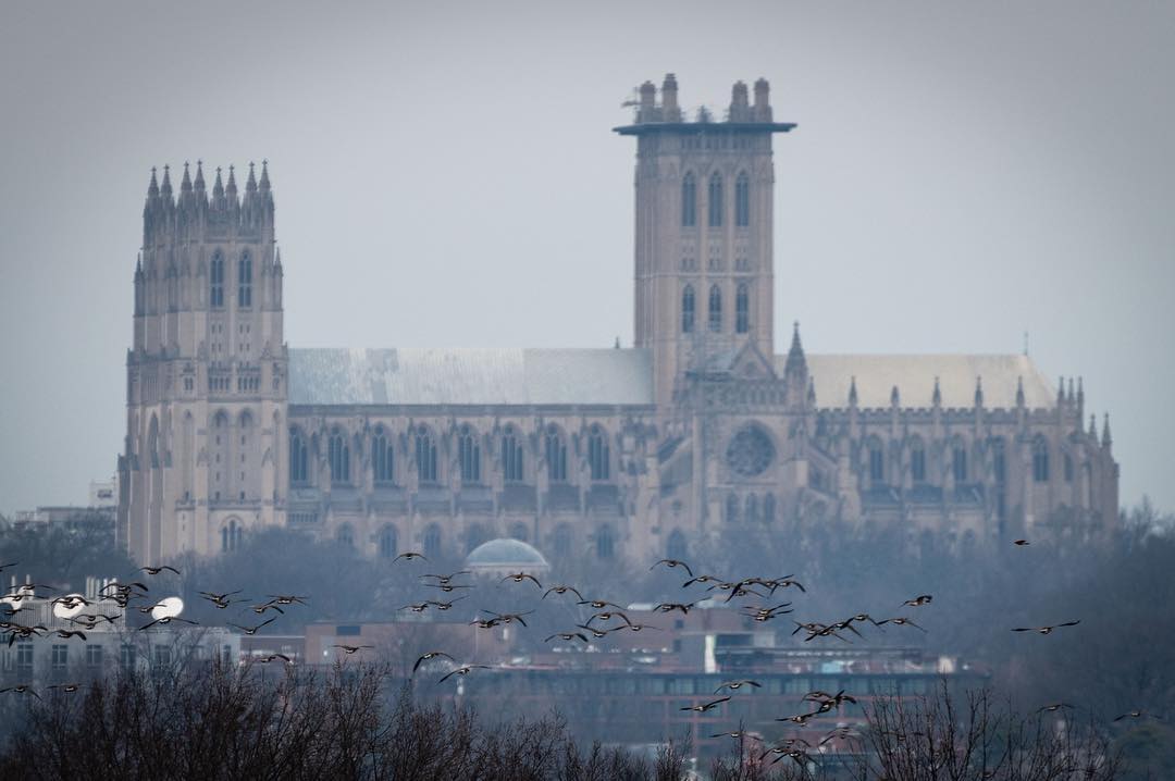 The view of the National Cathedral from McClellan Circle.  @arlingtonnatl @wncathedral 
#Arlington⠀
#ArlingtonMedia⠀
#ArlingtonCemetery⠀
#ArlingtonNationalCemetery⠀