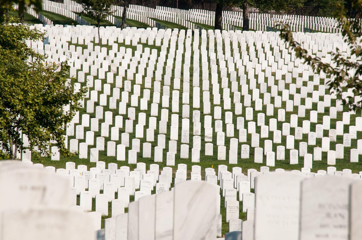 Approximately 400,000 veterans and their eligible dependents are buried at Arlington National Cemetery. Service members from every one of America’s major wars, from the Revolutionary War to today's conflicts, are interred at ANC. 

As a result, the history of our nation is reflected on the grounds of the cemetery.