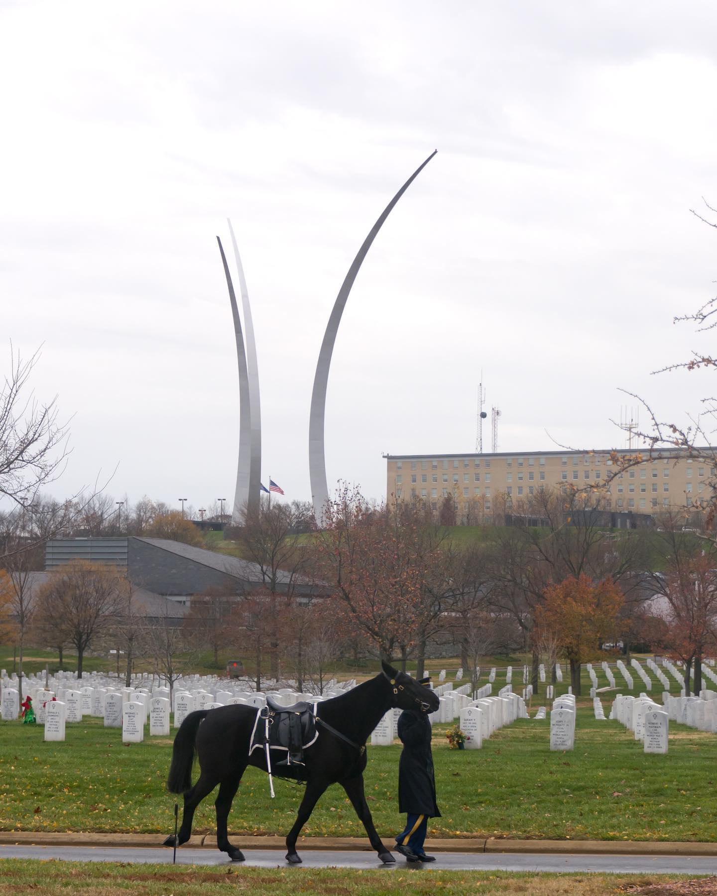 The Third Infantry Regiment United States Army, more commonly known as the Old Guard, is always responsible for the caisson. A caisson is a horse drawn wagon or cart. The two caissons used at the Cemetery are from the WWI time period circa 1918-1919. 

Originally the caisson was used to bring artillery and ammunition onto the battlefield. Once the artillery was off-loaded, the caisson was loaded with bodies of fallen service members. The wagon is pulled by six horses, but there are only three riders. The Old Guard service members only ride the horses on the left side because the horses on right side were originally used to take supplies onto the battlefield.

Officers with a rank of colonel or above in the Army and the Marine Corps may also have a caparisoned (riderless) horse, if available. The riderless horse follows behind the caisson and is guided by an Old Guard service member. The horse wears an empty saddle with the boots in the stirrups backwards to signify the last ride of the officer, as captured here.