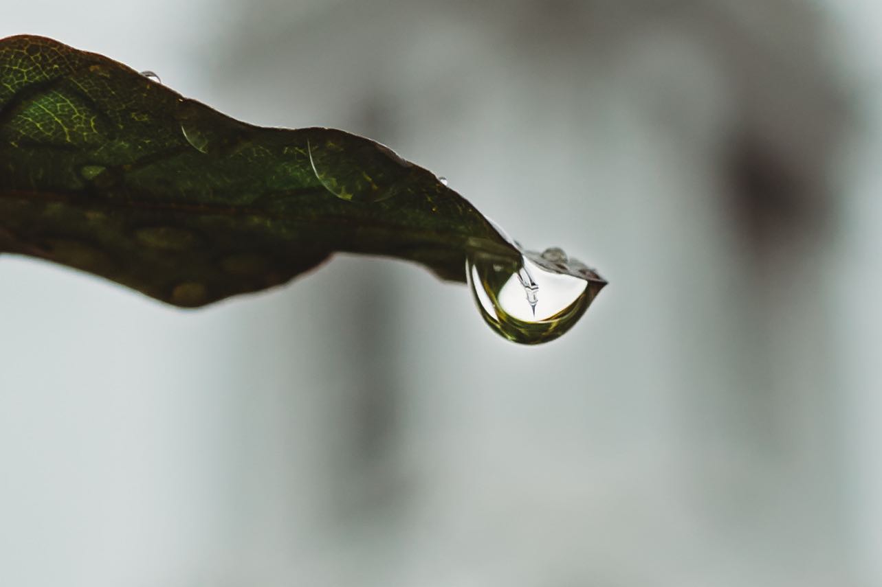 In a raindrop on a foggy day can be seen the upside down reflection of the Old Post Chapel on Fort Myer. 

This chapel serves to welcome family and friends of many service members whose final resting place is that of Arlington National Cemetery in Arlington, Virginia.