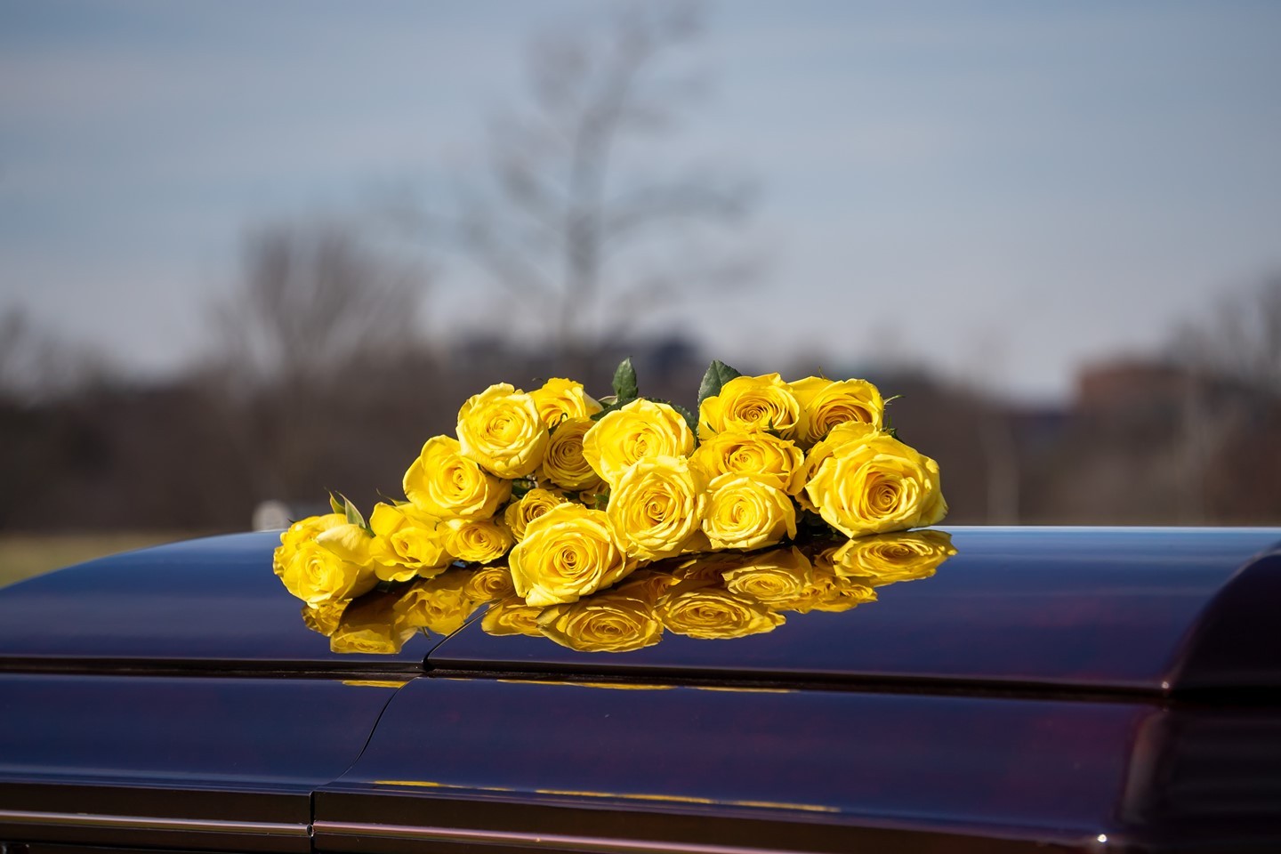 Yellow roses adorn a casket laid to rest in Section 57 of Arlington National Cemetery.

As one of the most recognizable flowers, roses hold meaning in the military and at military funerals. 

- White roses evoke reverence, humility, innocence, and youthfulness. 
- Red roses convey respect, love, and courage. 
- Pink roses signify love, grace, appreciation and gentility. - Dark crimson roses denote grief and sorrow. 
-  Yellow roses are given by friends of the deceased to symbolize their strong ties. 

Arlington Media was honored to capture these moments for this family and generations to come.