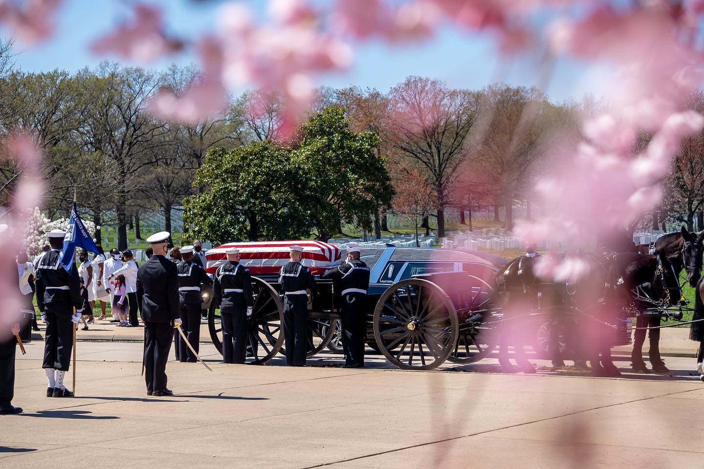 Marshall Drive Transfer at Arlington National Cemetery during a Full Honors Funeral Service earlier this week, surrounded by blooming cherry blossom trees and magnolias.

Full honors funerals begin at a designated place, called a transfer point. A team of soldiers transfers the casket to the caisson at the transfer point, before proceeding to the gravesite and the heroes final resting place.

Following the transfer, a military band plays a reverent march, leading six horses as they pull a flag-draped casket through tree-lined lanes of Arlington National Cemetery.