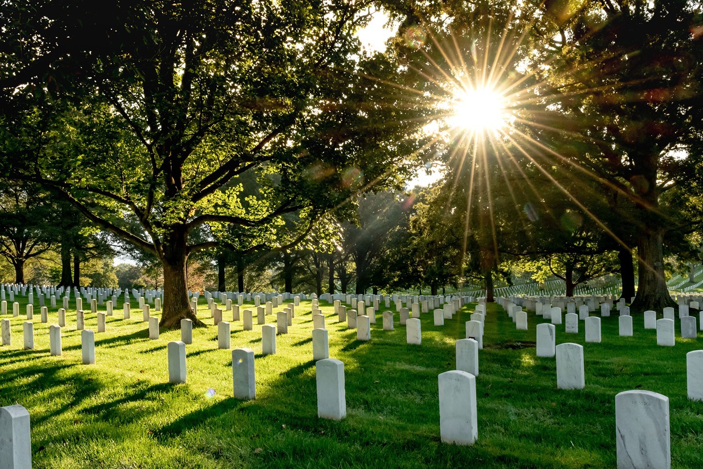 The sun peaks through the trees over rows and rows of white glistening headstones at Arlington National Cemtery.