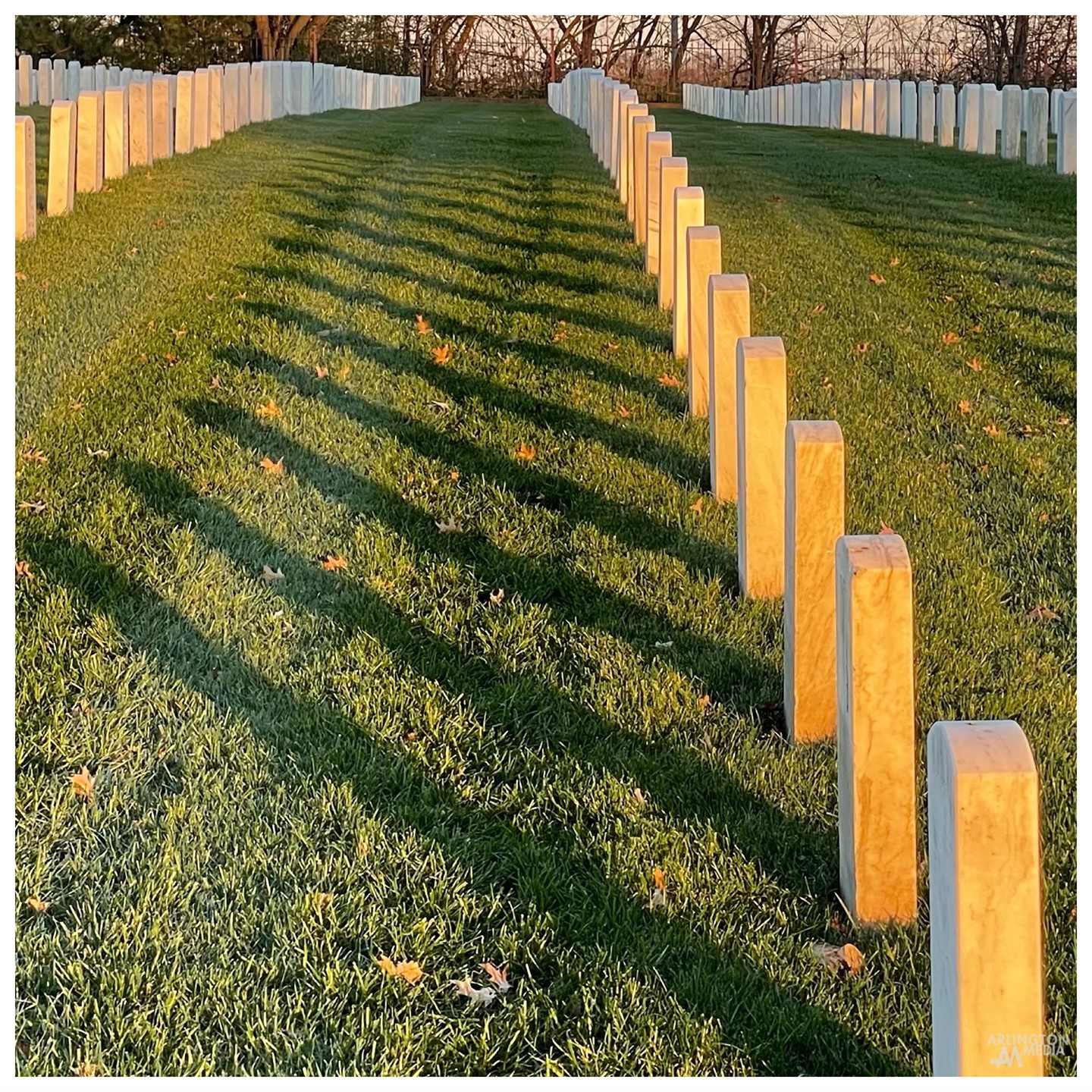 Rows of headstones in the morning sunrise captured in preparation for a full day of services covered by our team at @arlington.media

For more information on our history, work, and how we can help to capture the final mission of your loved one during their Arlington National Cemetery service, please call 1 (800) 852-7015.  It would be our honor to help guide you through this process.