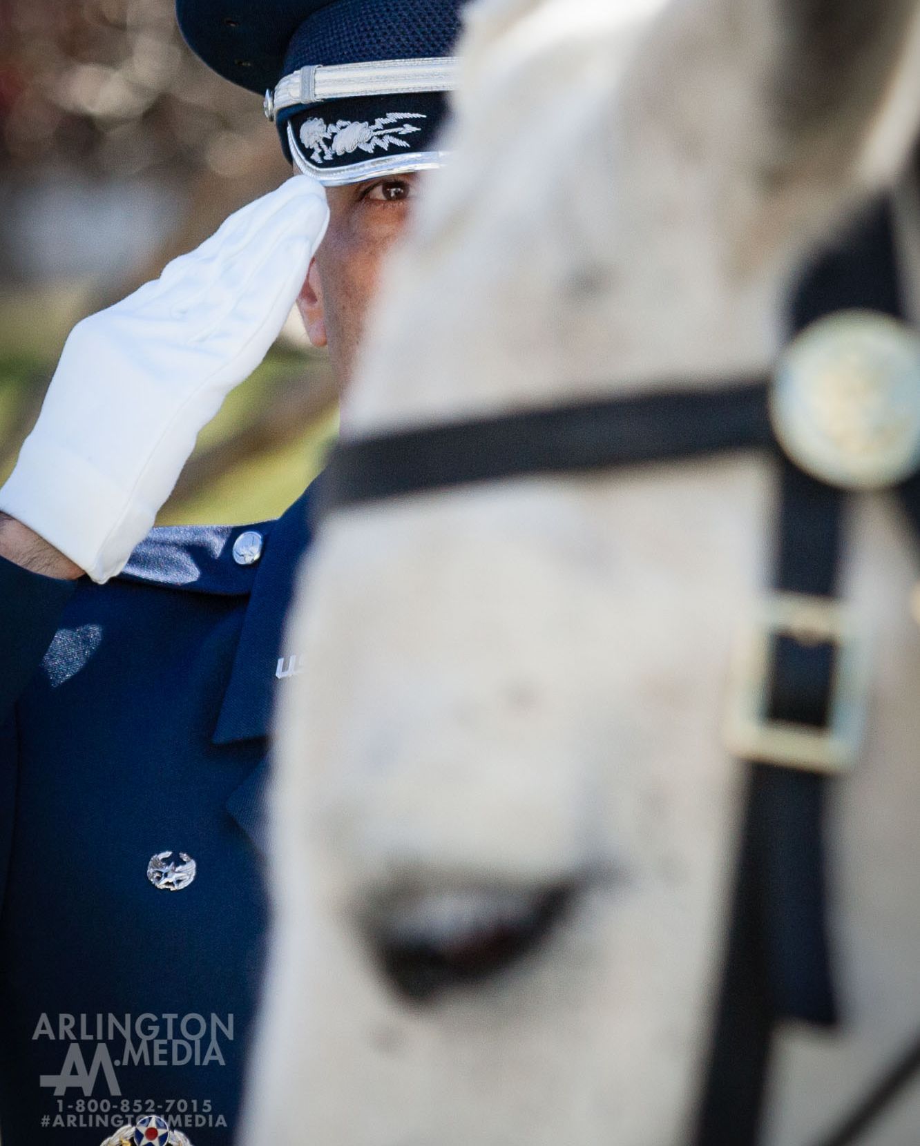 Only adding to the reverence of services at Arlington is the seamless way that soldiers, marines, sailors, and airmen work alongside four-legged members of the Caisson teams. 

A typical caisson team consists of at least 7 horses, 4 riders, and one serviceman holding the colors of the service the deceased served in, plus the caisson. Six of the horses are pulling the caisson, three of which have riders. The other three horses are riderless.

The Caisson platoon usually begins work at 4am and does not cease until the final services at Arlington have concluded for the day.  They support full honors services for all eligible branches and the integration of these horses into services is both nuanced and extremely moving.  This image captures the emotion of these moments in a very powerful way.  PC: @arlingtonmedia