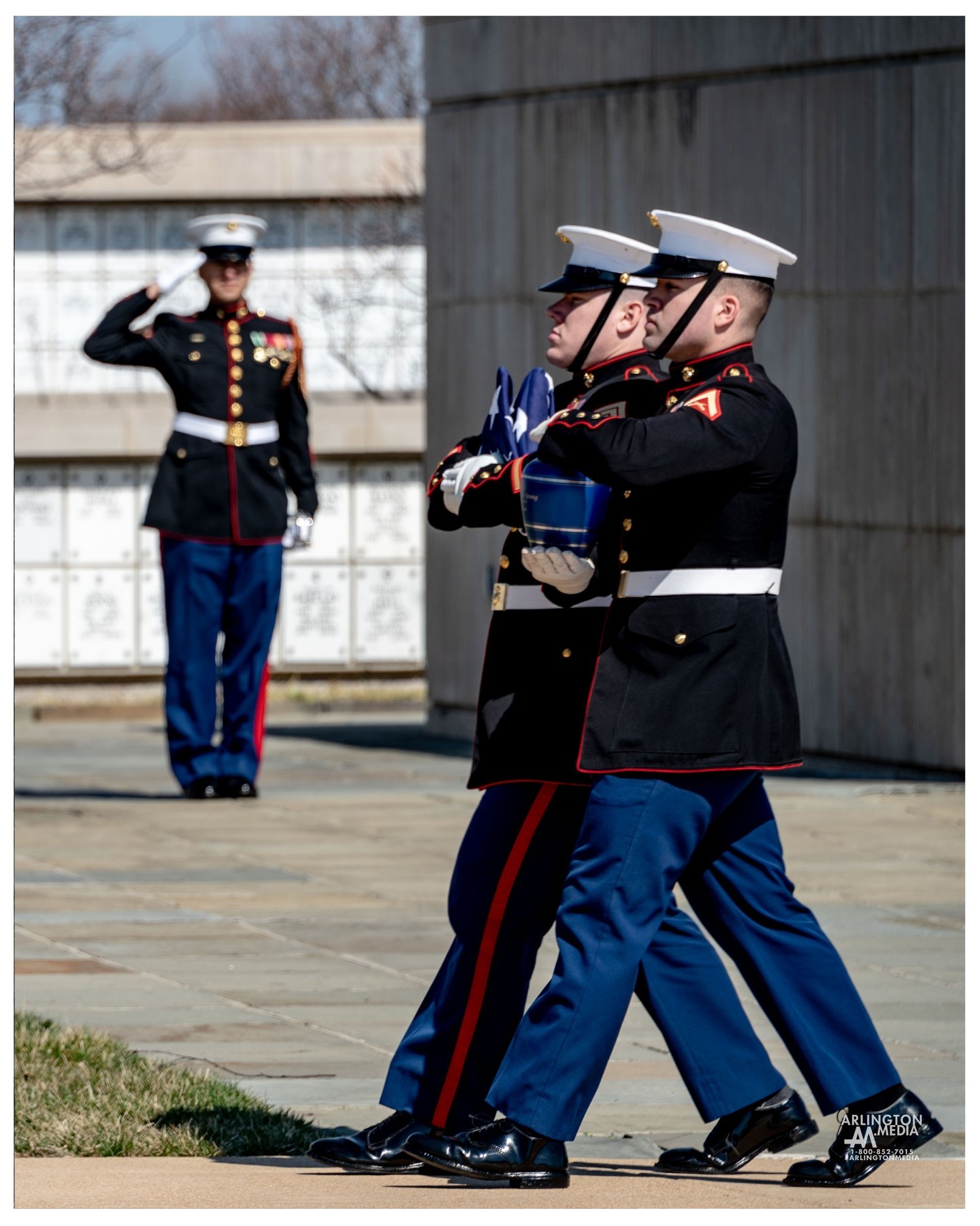 US Marines carry the flag and remains of an honored veteran towards Nimitz Shelter in Arlington National Cemetery.